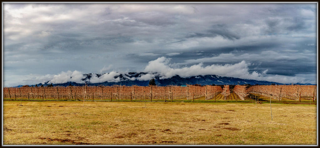 DSC_3054-Pano-Edit.jpg