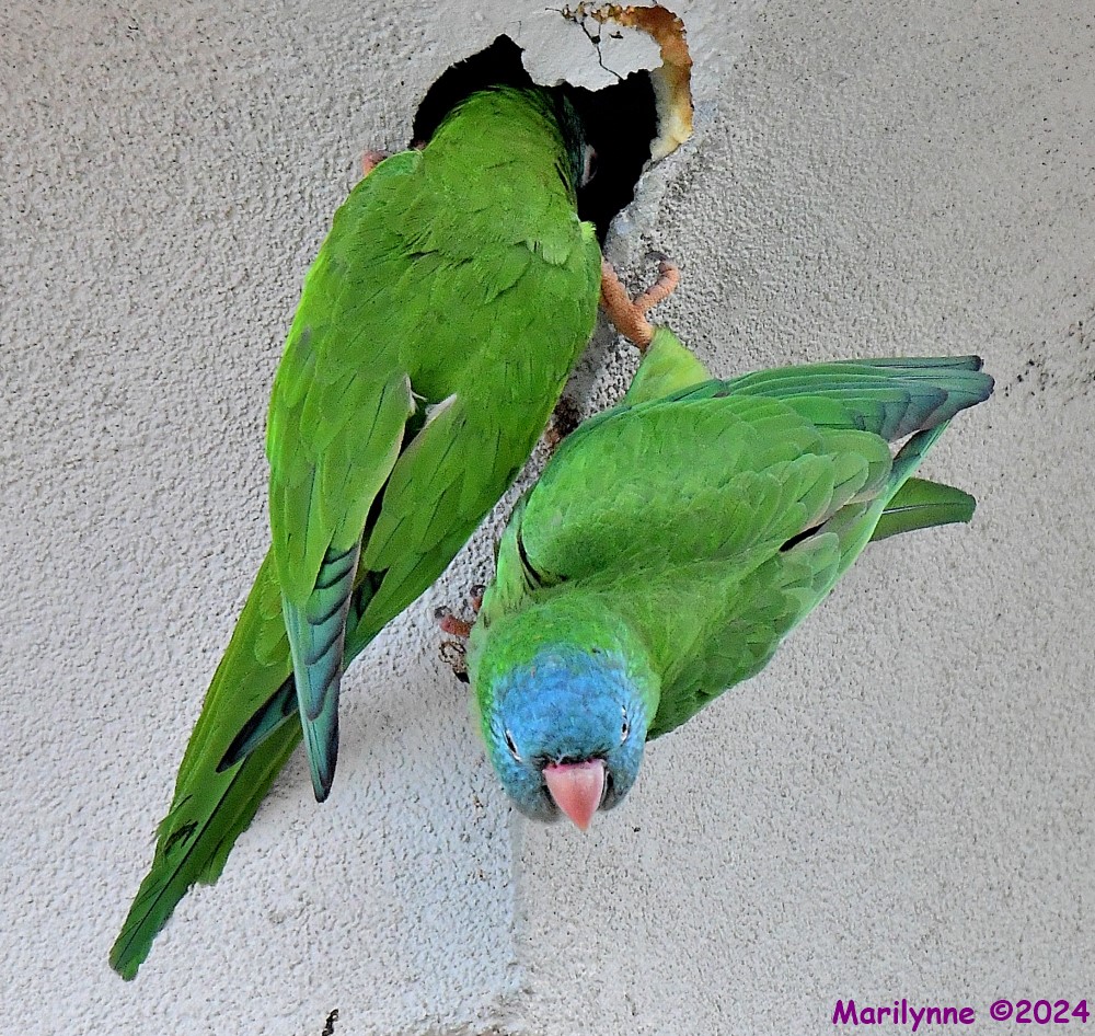 DSC_3055_001.JPG