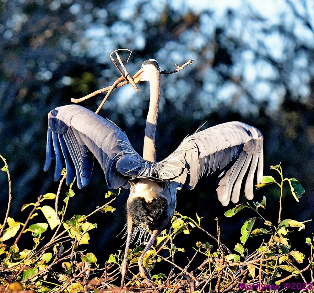 DSC_3056_001.JPG