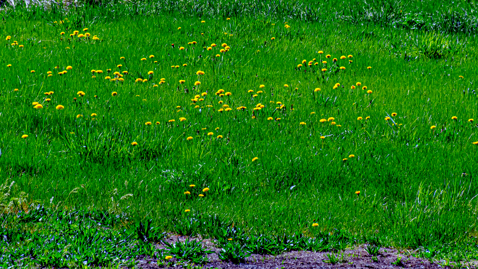 DSC_3060.JPG