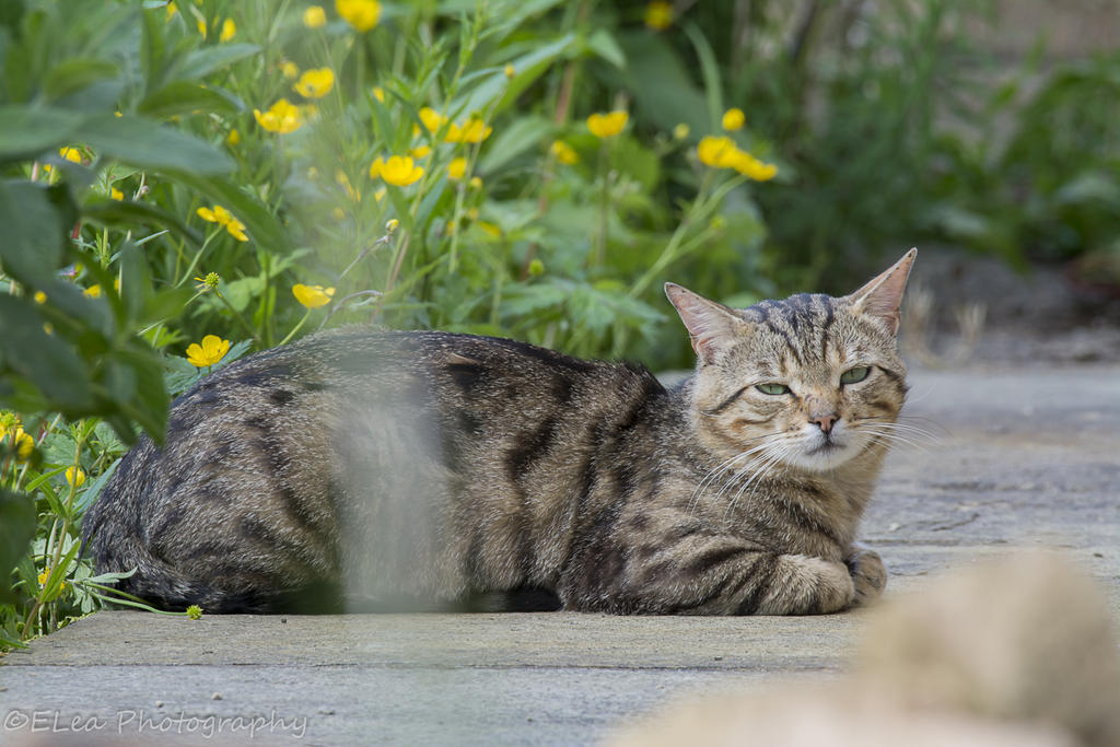 DSC_3063.jpg