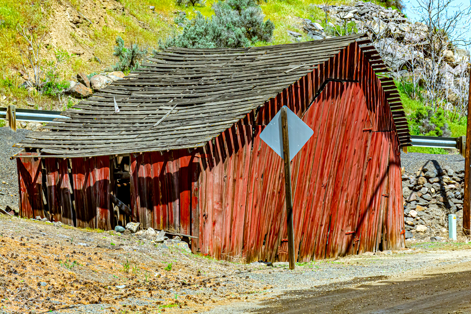 DSC_3065.JPG