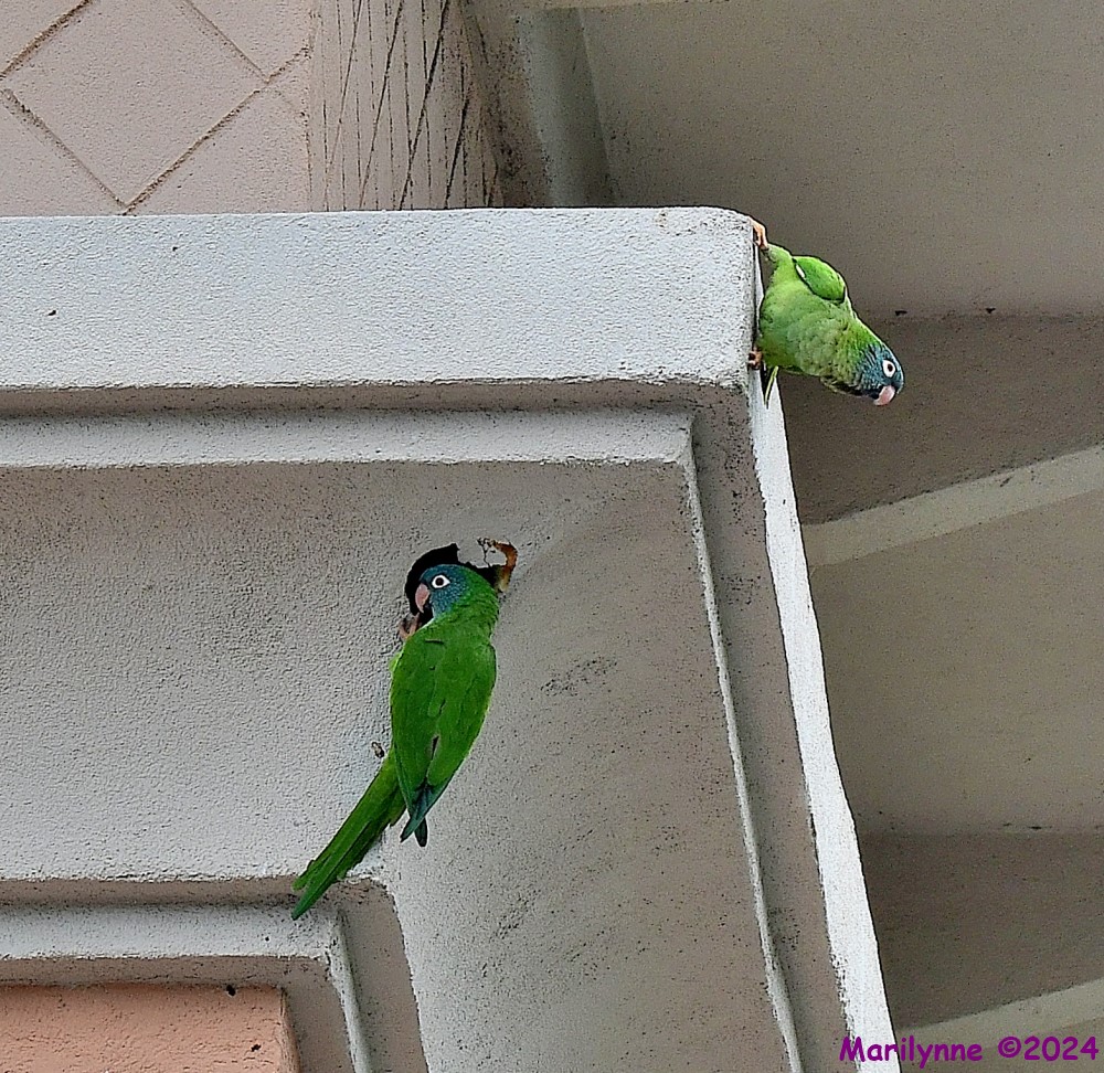 DSC_3070_001.JPG