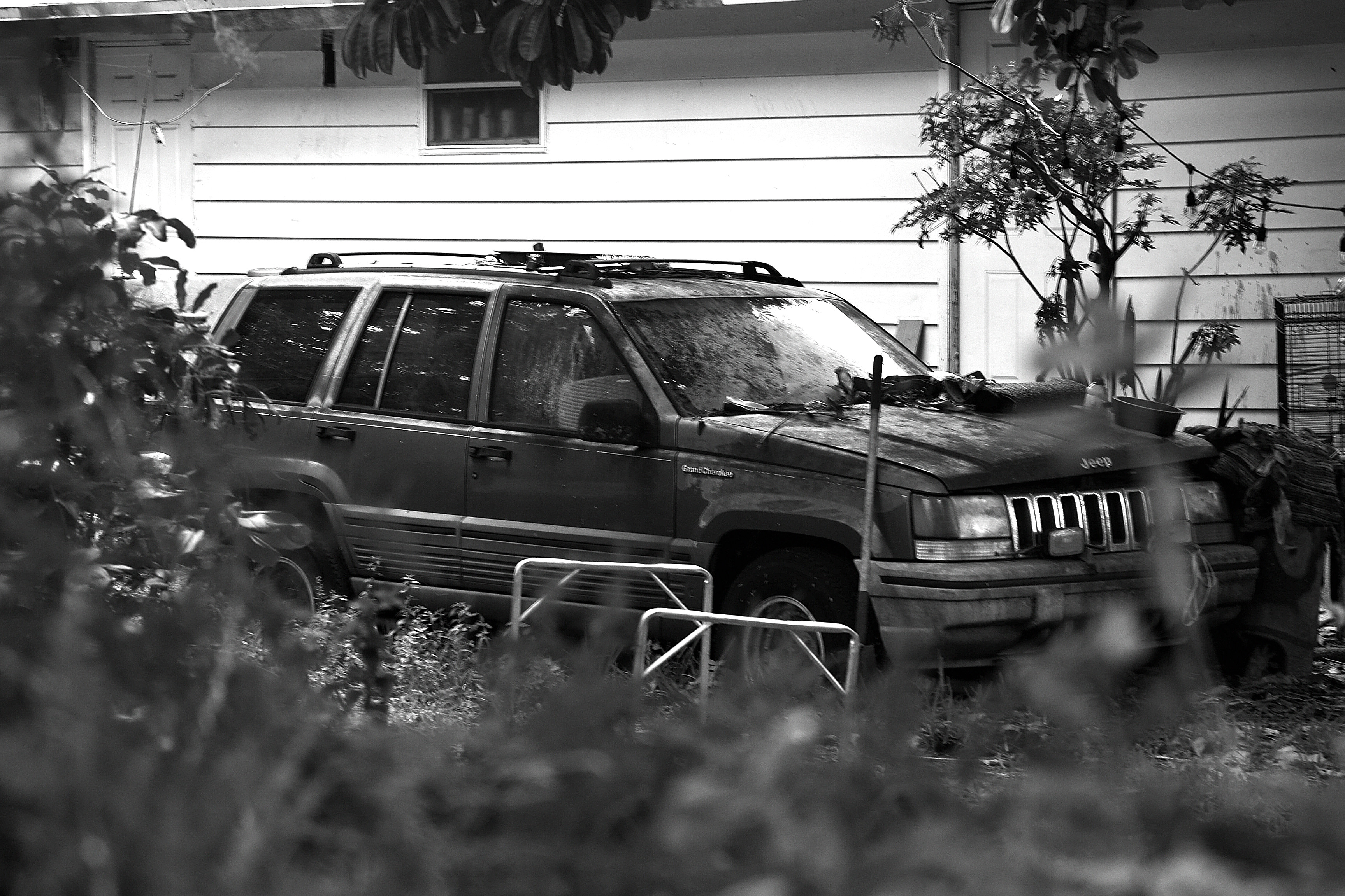 DSC_3071.JPG