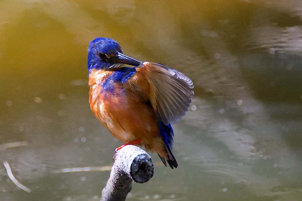 DSC_3074.jpg