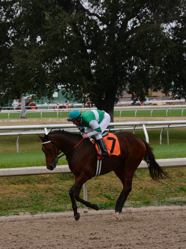 DSC_3076.JPG