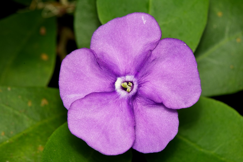 DSC_3079.jpg