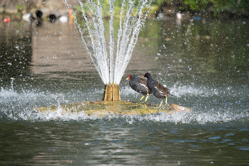 DSC_3085.jpg