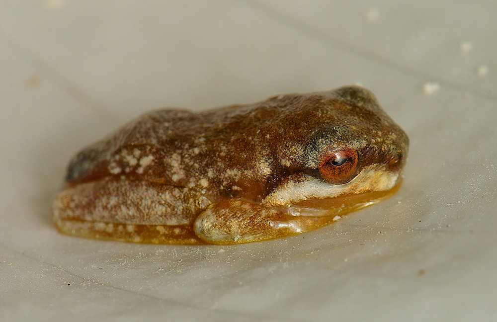 DSC_3092.jpg