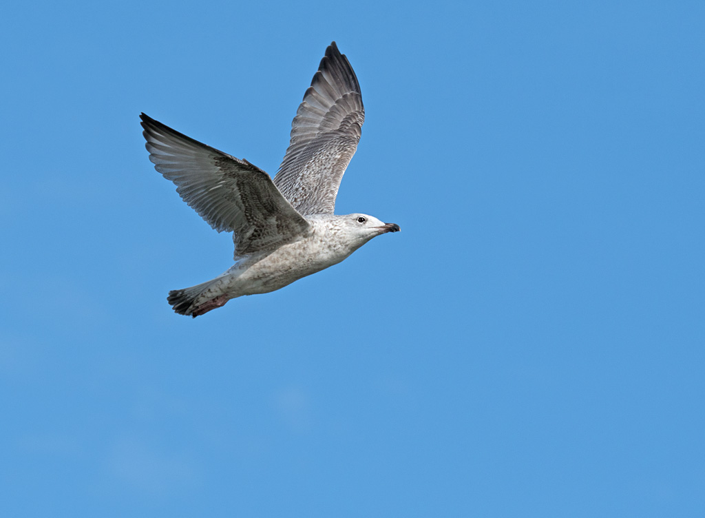 DSC_3095.jpg