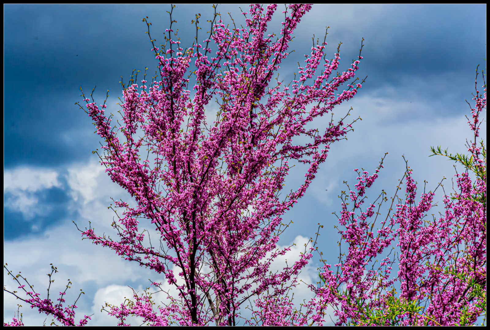 DSC_3095.JPG