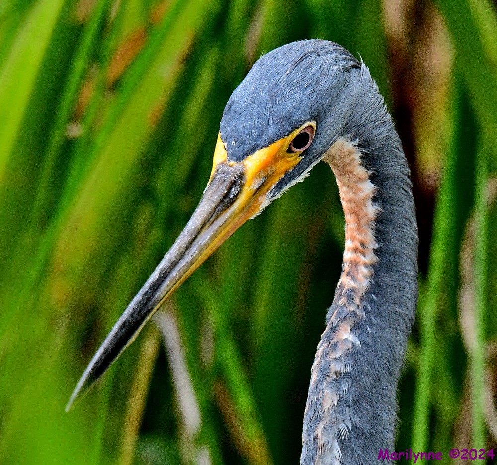 DSC_3100_001.JPG