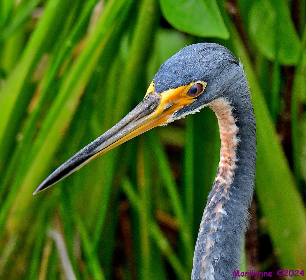 DSC_3103_001.JPG