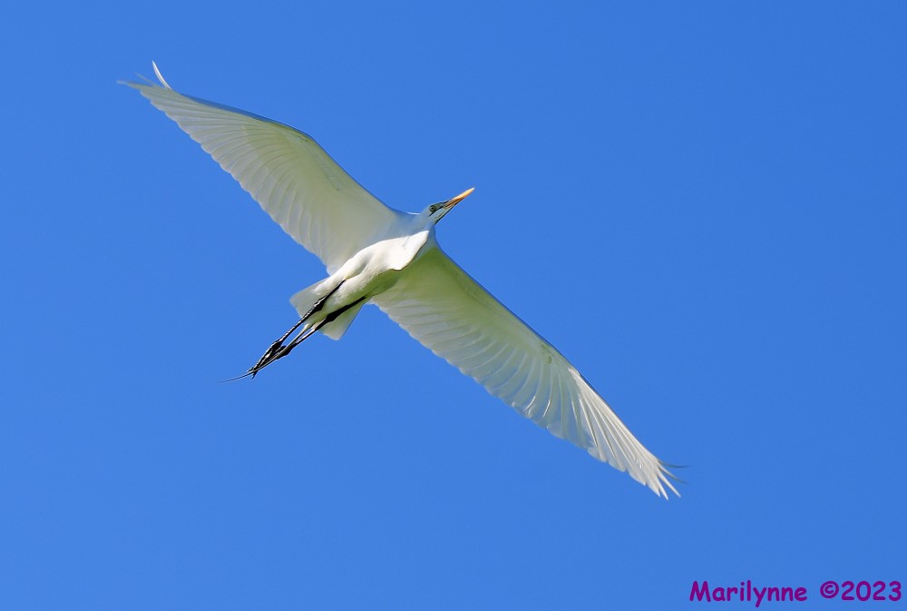 DSC_3104_001.JPG