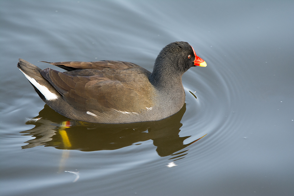 DSC_3105.jpg