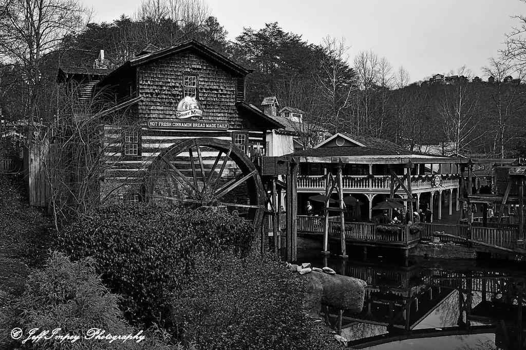 DSC_3116.jpg