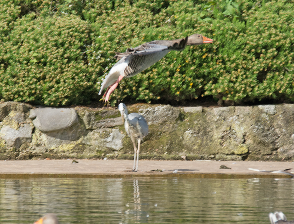 DSC_3119.jpg