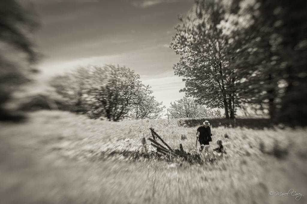 DSC_3120.jpg