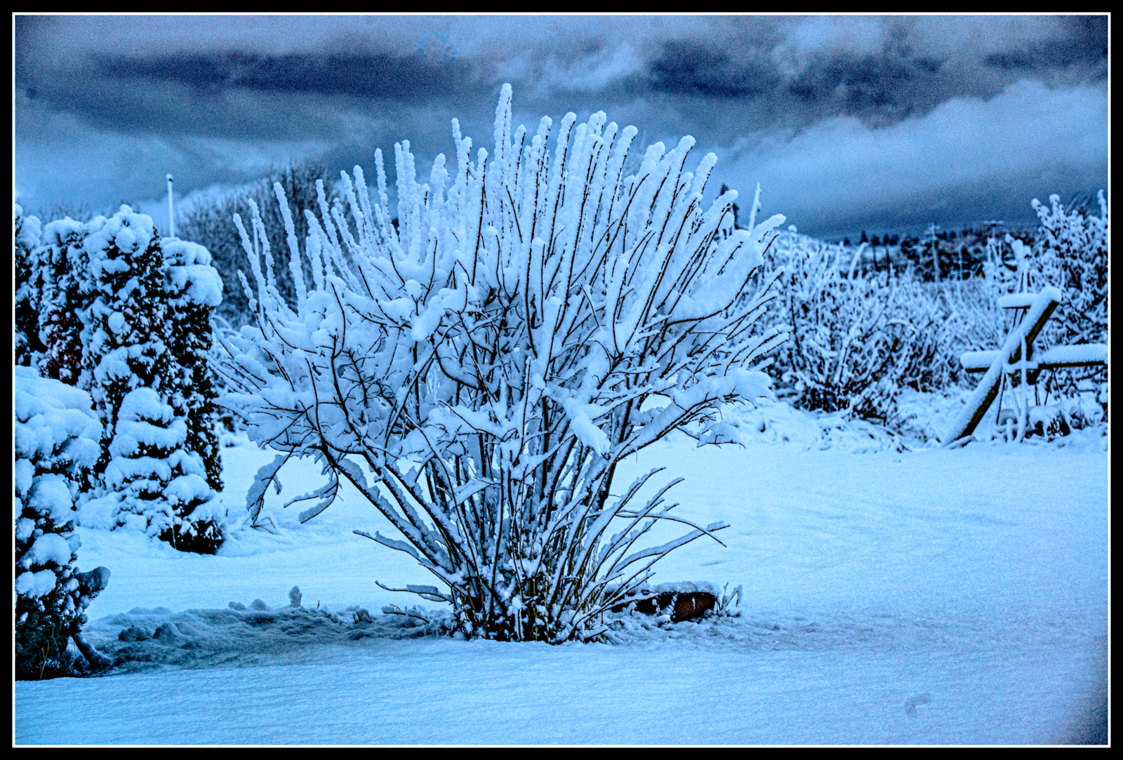 DSC_3121-Edit-Edit.JPG