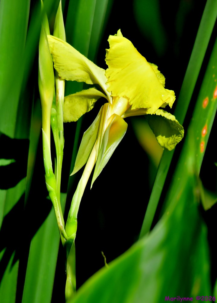 DSC_3125_001.JPG