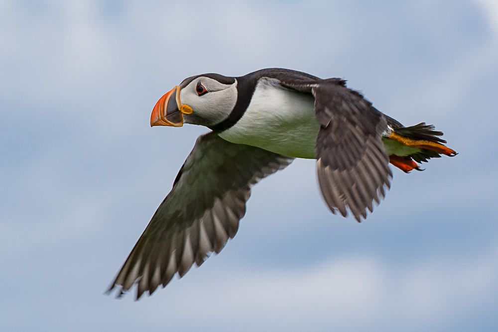 DSC_3127.jpg