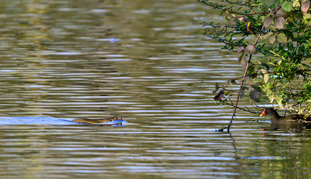 DSC_3128.jpg