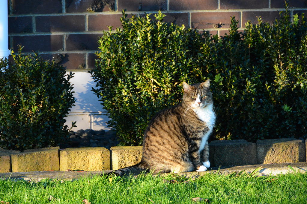 DSC_3138.jpg