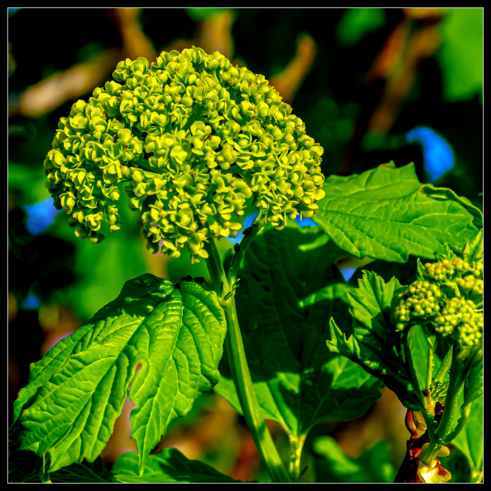 DSC_3138.JPG
