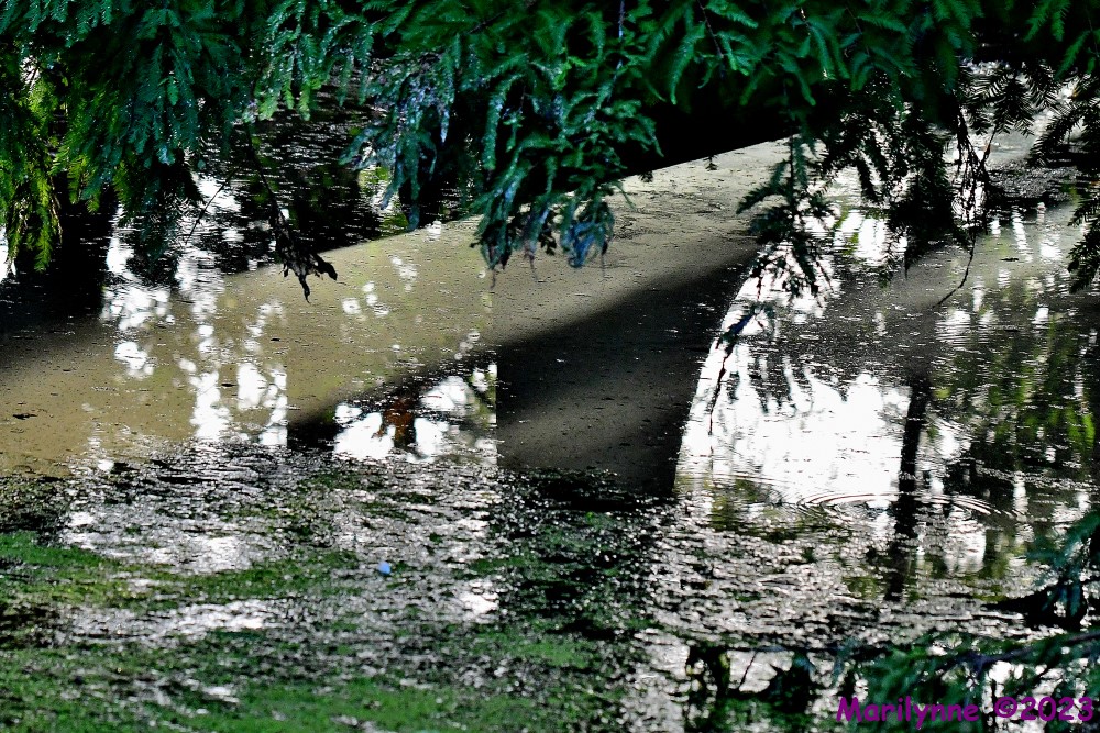 DSC_3140_001.JPG
