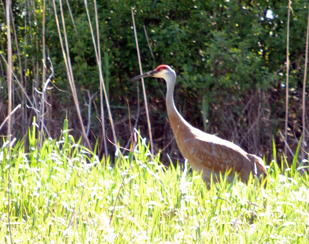 DSC_3144.jpg