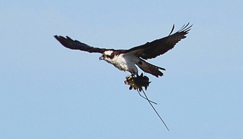 DSC_3146.JPG