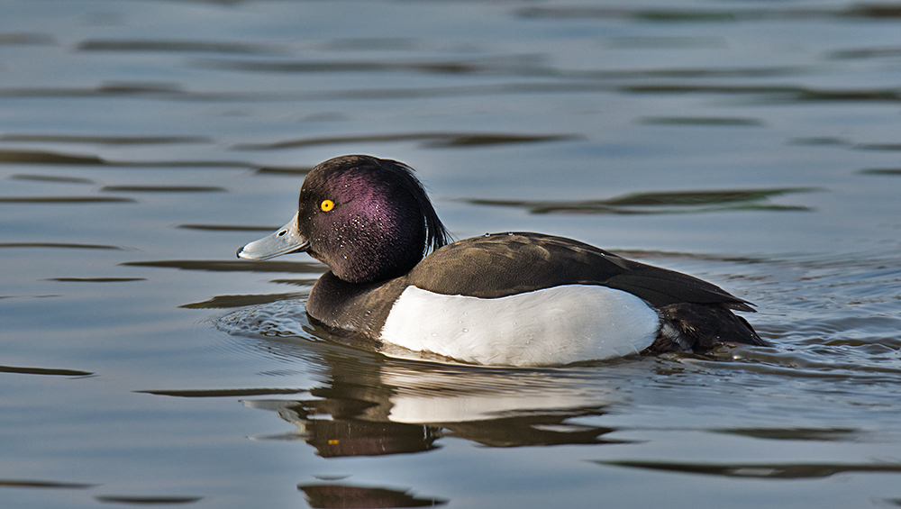 DSC_3147.jpg