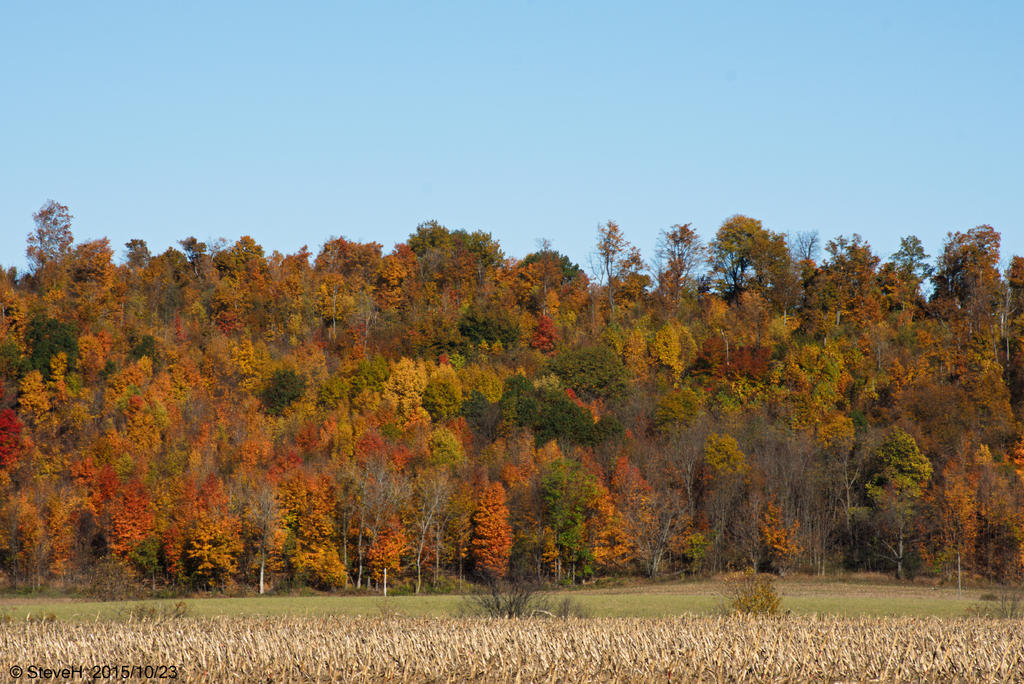 DSC_3150.jpg