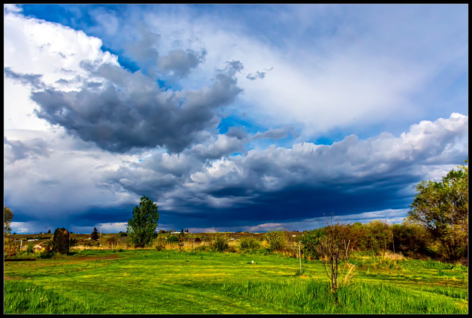 DSC_3154-2.JPG