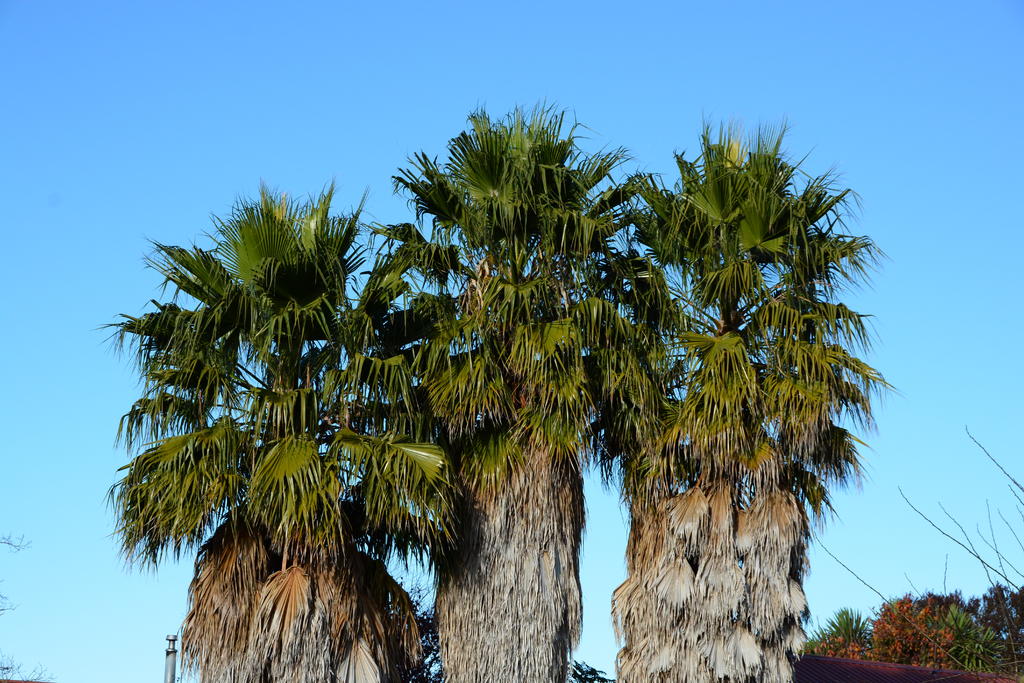 DSC_3154.jpg