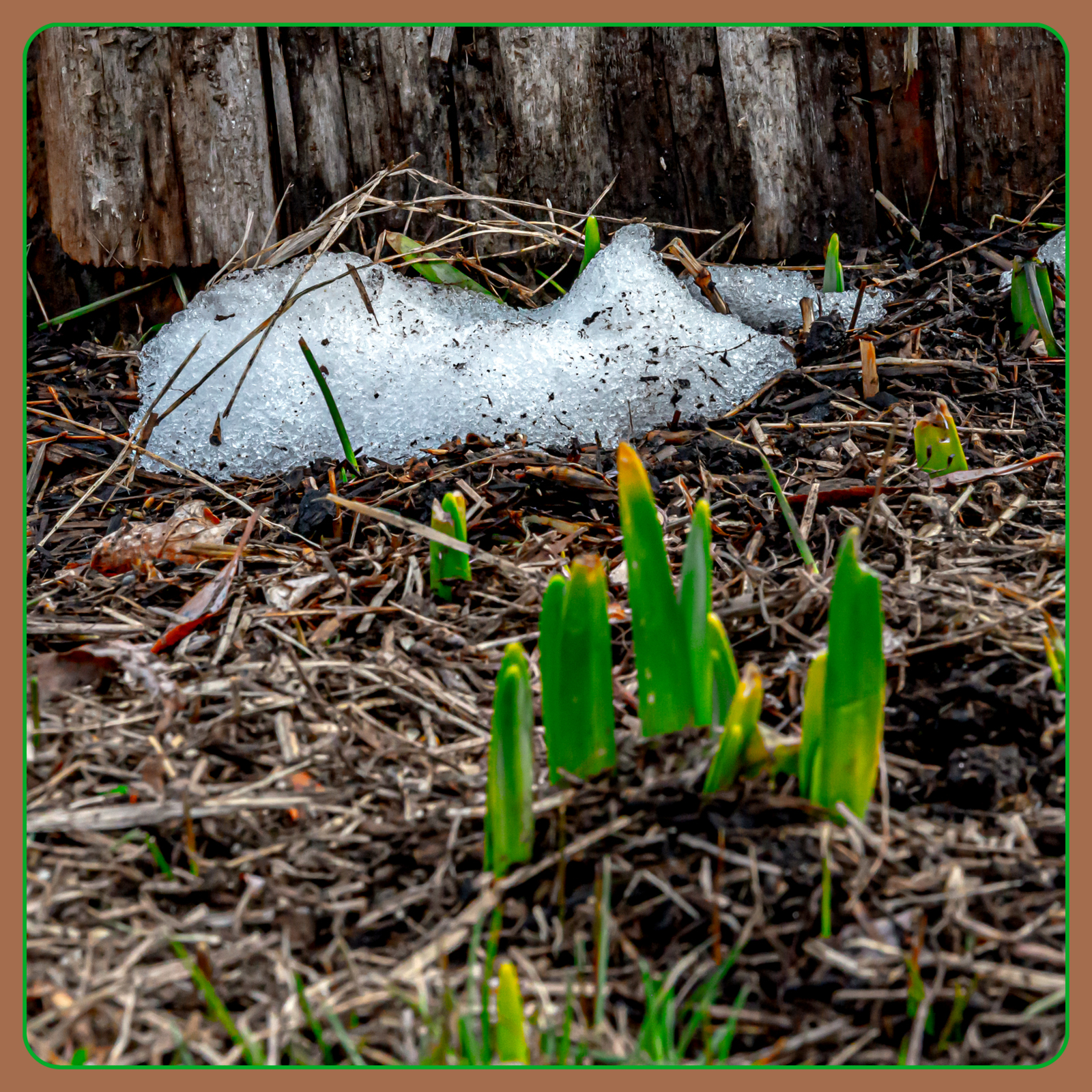 DSC_3154.JPG