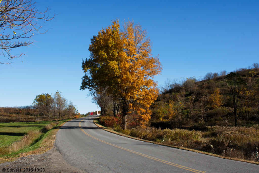 DSC_3156.jpg