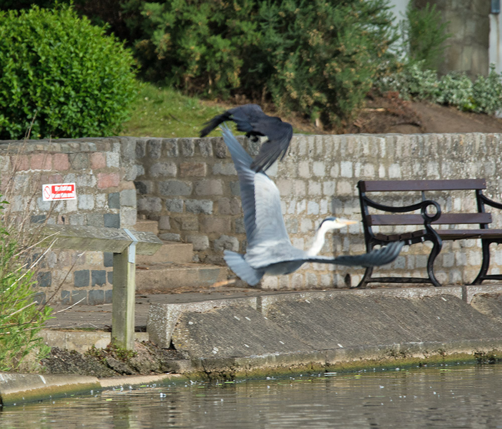 DSC_3157.jpg