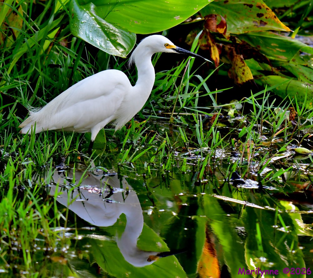 DSC_3158_001.JPG