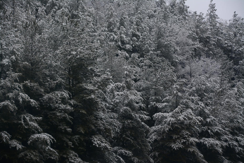 DSC_3161.jpg