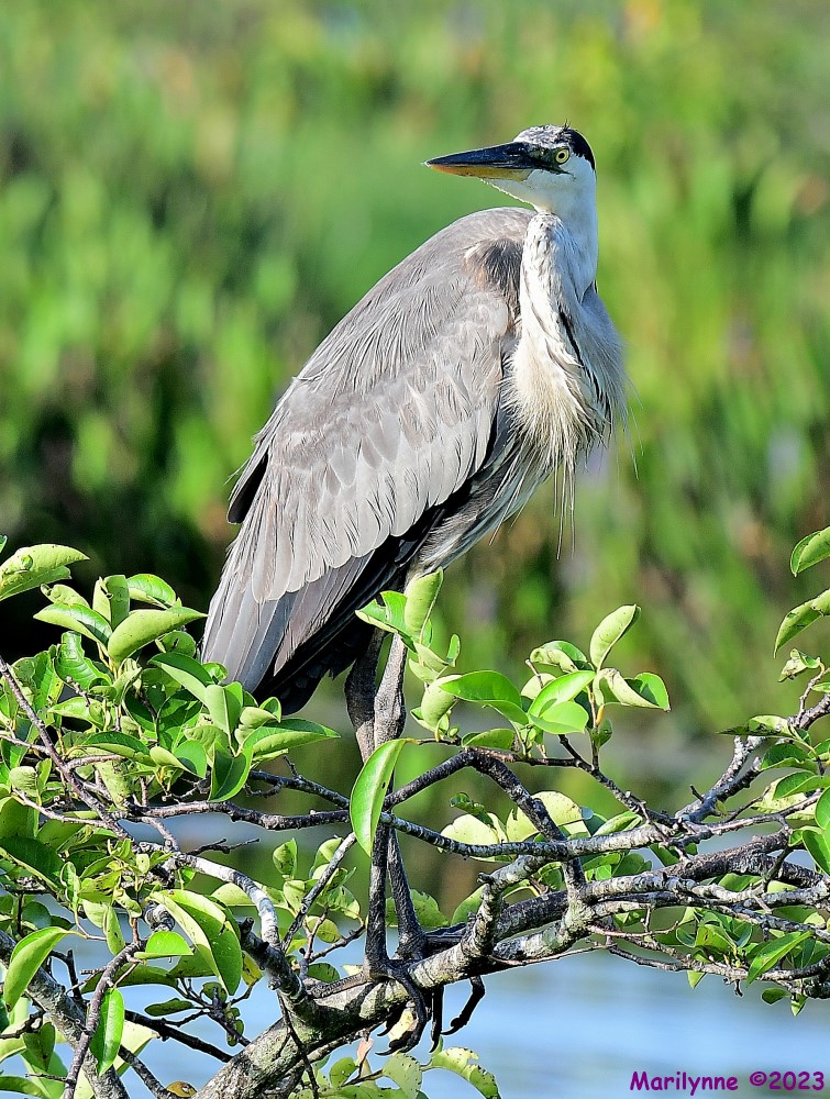 DSC_3161_001.JPG