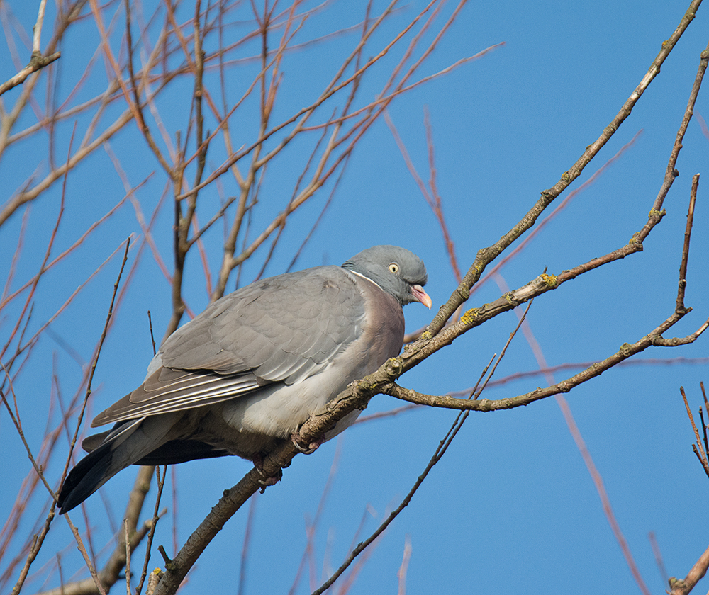 DSC_3165.jpg