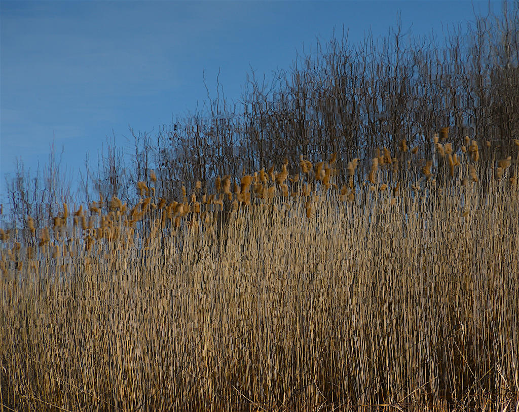 DSC_3165.jpg