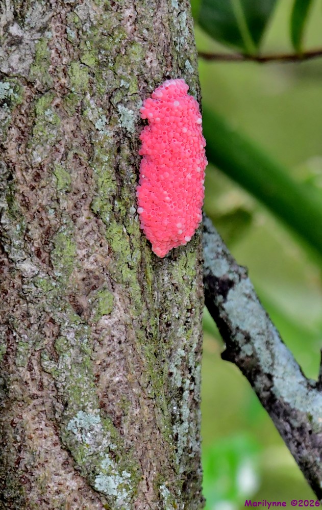 DSC_3165_001.JPG