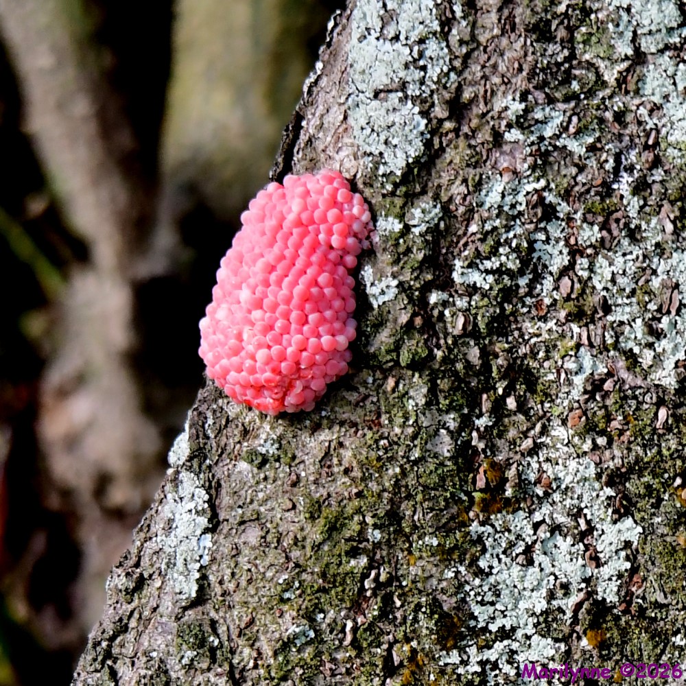 DSC_3166_001.JPG