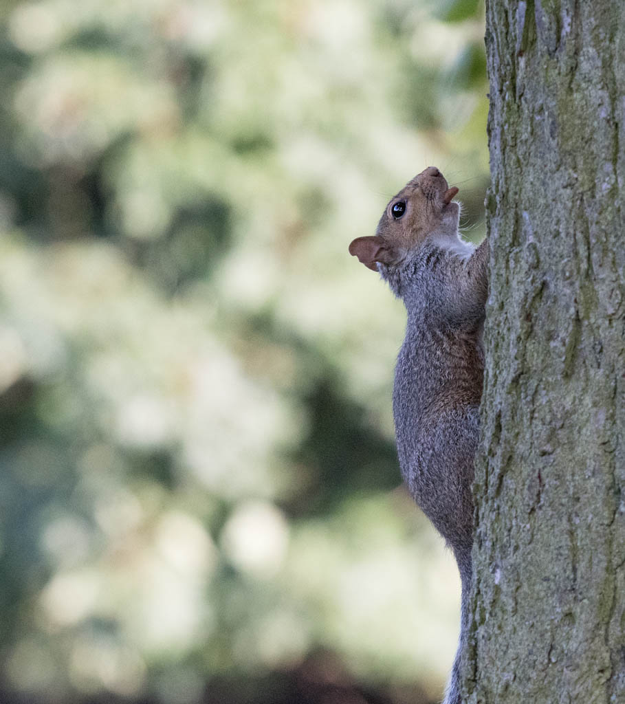 DSC_3167.jpg