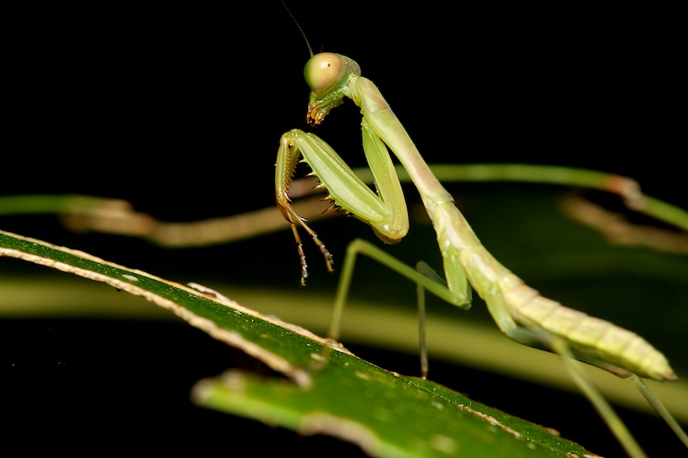 DSC_3168.jpg