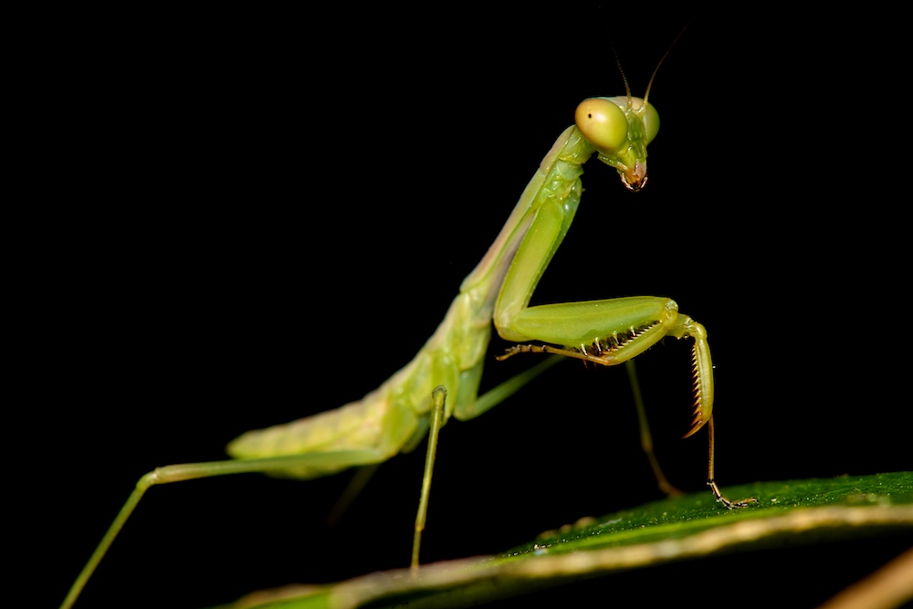 DSC_3172.jpg