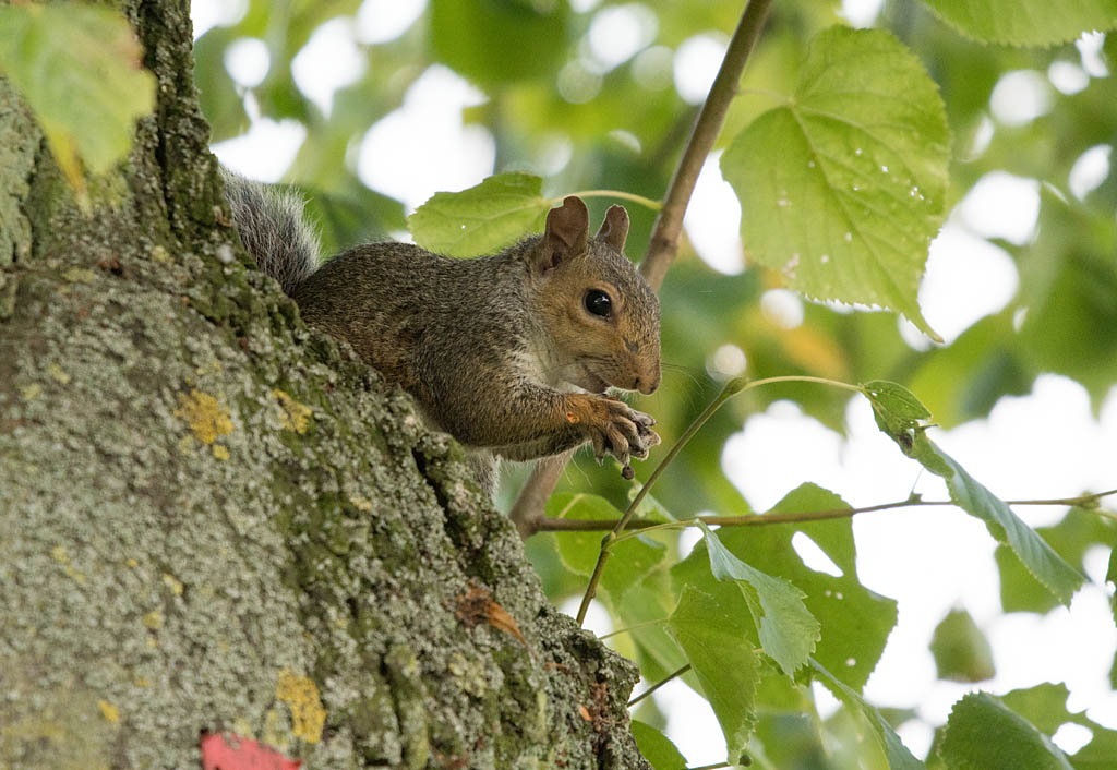 DSC_3173.jpg