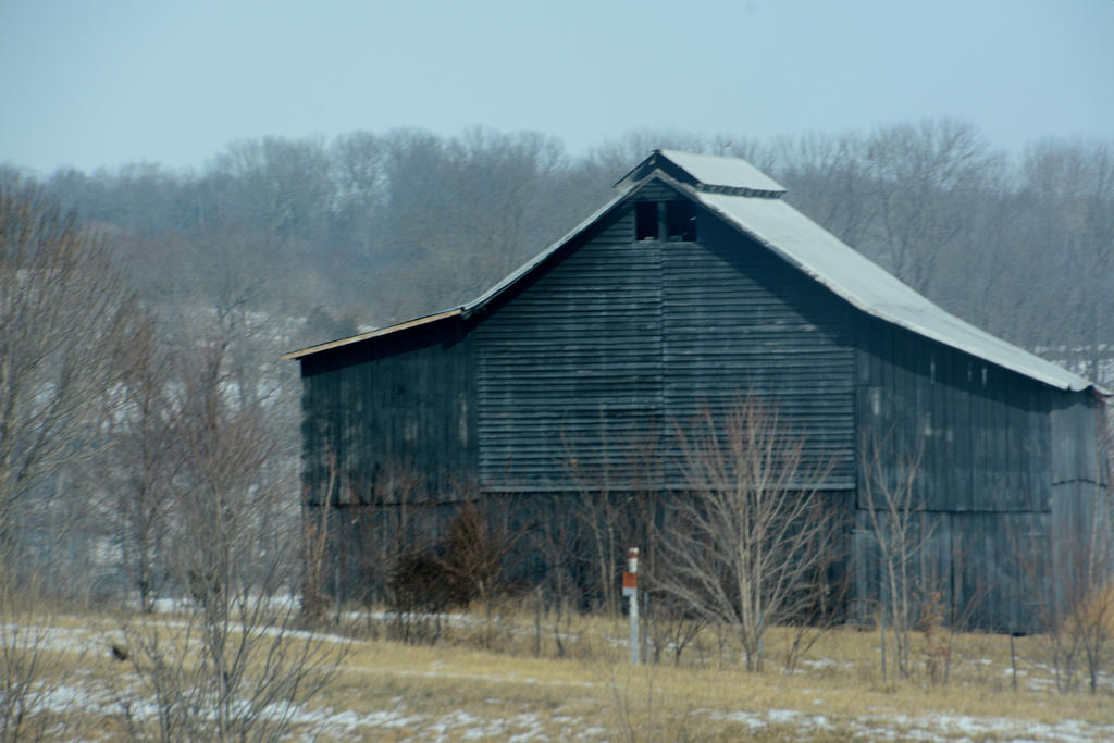 DSC_3180.jpg